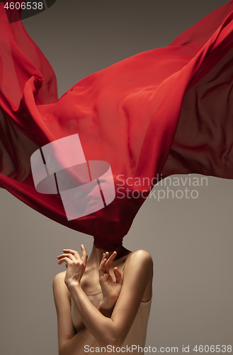 Image of Young graceful tender ballerina on grey studio background