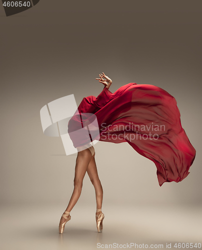 Image of Young graceful tender ballerina on grey studio background