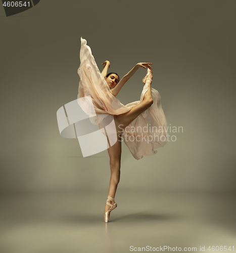 Image of Young graceful tender ballerina on grey studio background