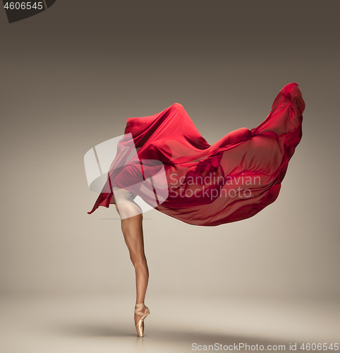 Image of Young graceful tender ballerina on grey studio background