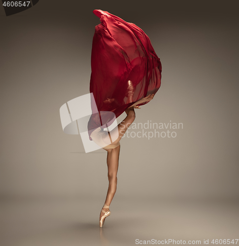 Image of Young graceful tender ballerina on grey studio background