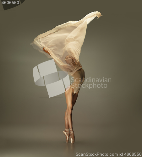 Image of Young graceful tender ballerina on grey studio background