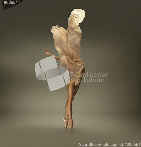 Image of Young graceful tender ballerina on grey studio background