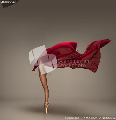 Image of Young graceful tender ballerina on grey studio background