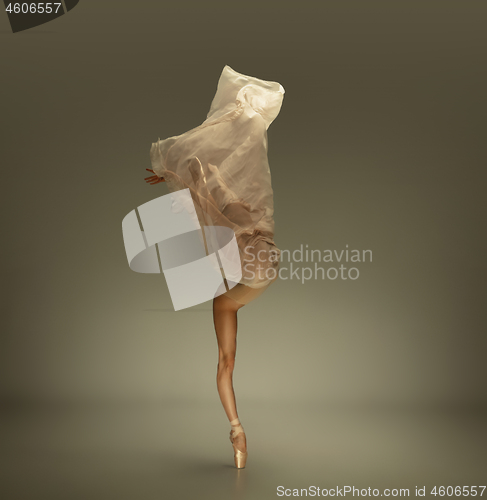 Image of Young graceful tender ballerina on grey studio background