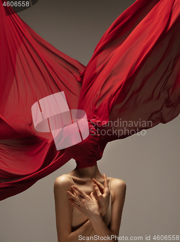 Image of Young graceful tender ballerina on grey studio background