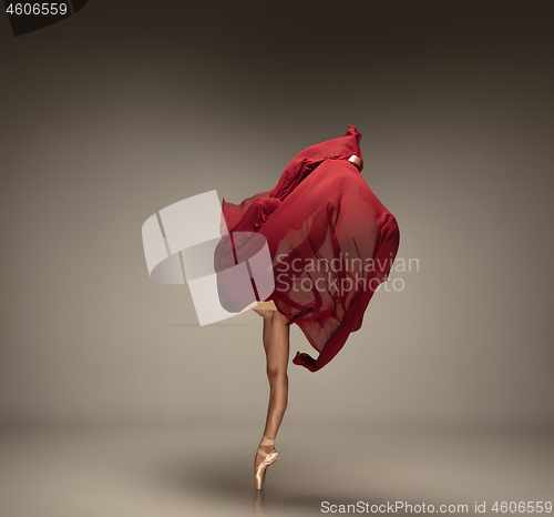 Image of Young graceful tender ballerina on grey studio background