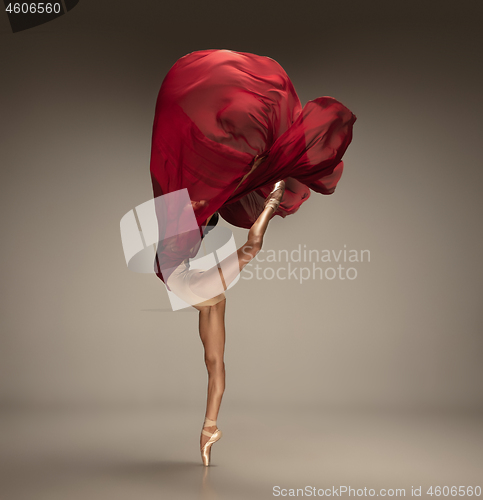 Image of Young graceful tender ballerina on grey studio background