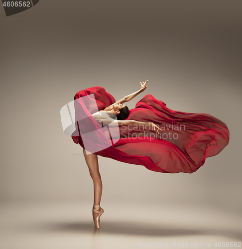 Image of Young graceful tender ballerina on grey studio background