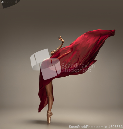 Image of Young graceful tender ballerina on grey studio background