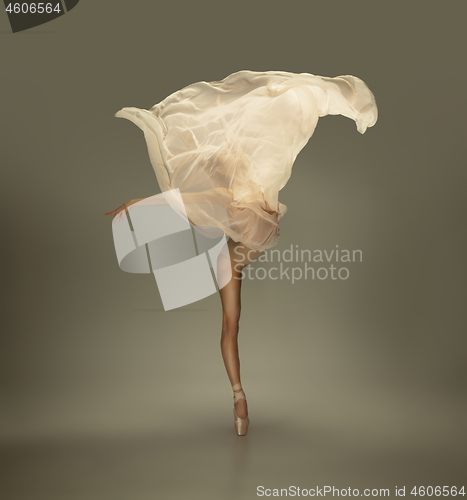 Image of Young graceful tender ballerina on grey studio background