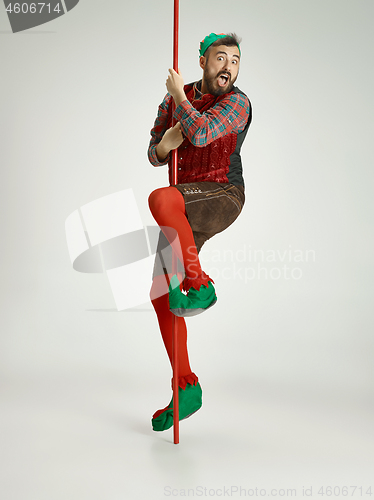 Image of friendly man dressed like a funny gnome posing on an isolated gray background