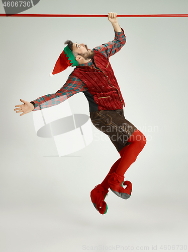 Image of friendly man dressed like a funny gnome posing on an isolated gray background