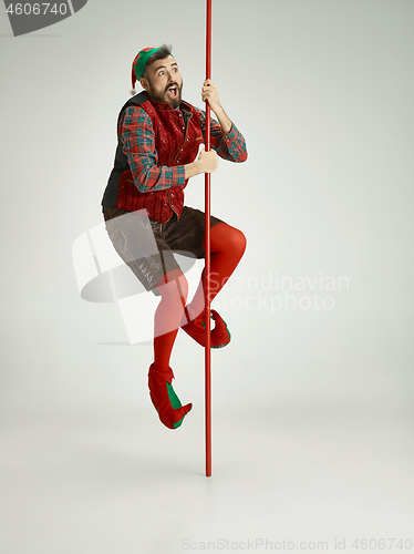 Image of friendly man dressed like a funny gnome posing on an isolated gray background