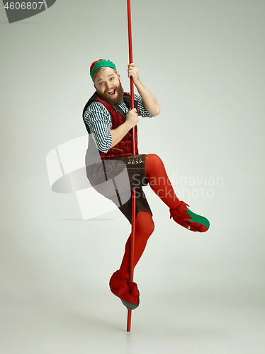 Image of friendly man dressed like a funny gnome posing on an isolated gray background