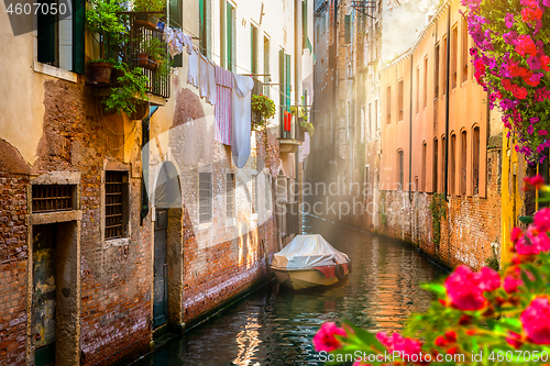 Image of Flowers in Venice