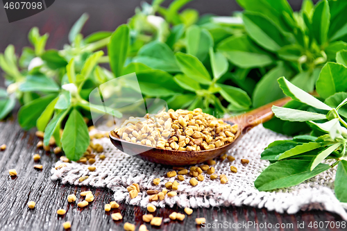 Image of Fenugreek in spoon with leaves on board