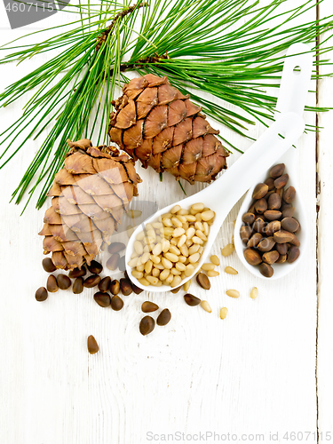 Image of Cedar nuts in two spoons on board top