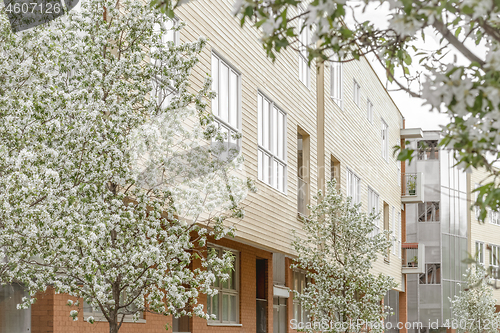 Image of Modern building surrounded by blooming trees