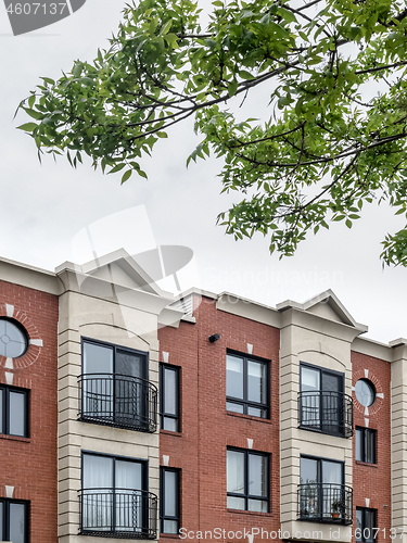 Image of Green leaves and modern brick building