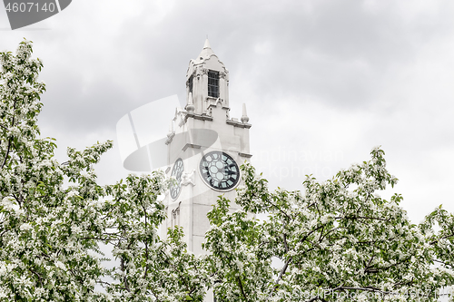 Image of Clock tower behind blooming spring trees
