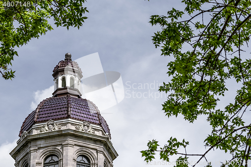 Image of Old dome seen though green leaves