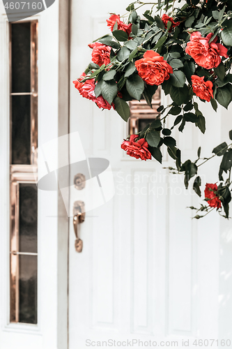 Image of White door and blooming wild roses