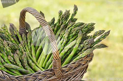 Image of Asparagus