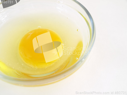 Image of Raw Egg on White