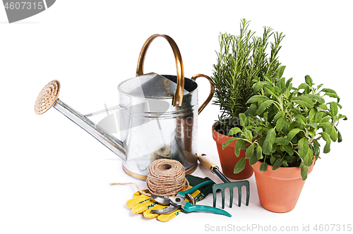 Image of Gardening tools isolated