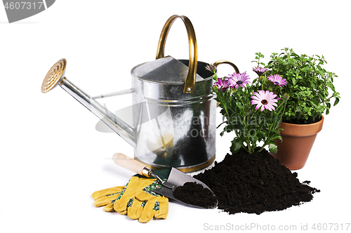 Image of Gardening tools isolated