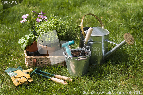 Image of Gardening tools