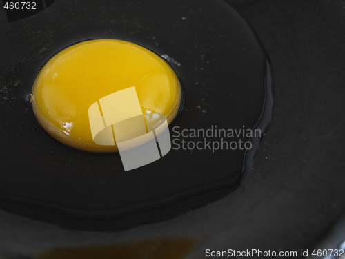 Image of Raw Egg on Black Plate