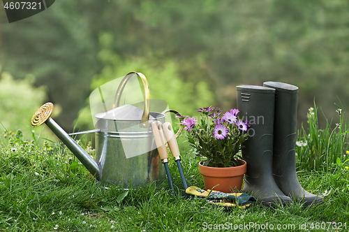 Image of Gardening tools