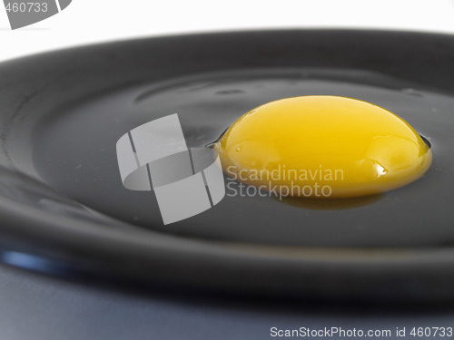 Image of Raw Egg on Black