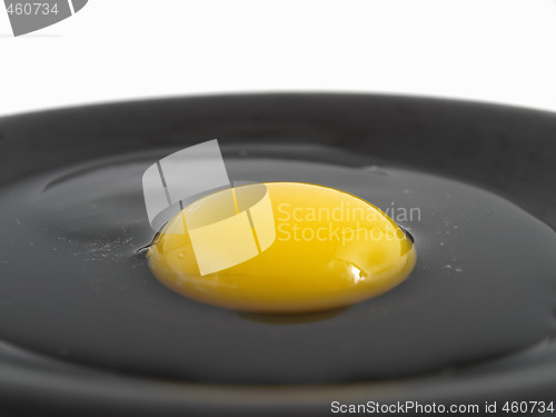 Image of Raw Egg