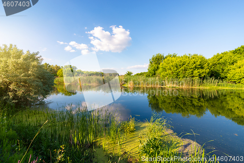 Image of Day on a calm river