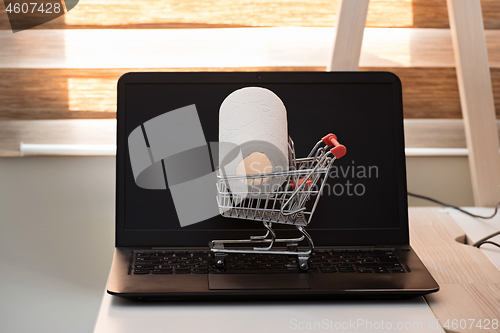 Image of Conceptual photo with miniature shopping-cart and wc paper. Safety internet shopping.