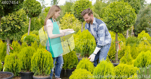 Image of Man and woman professional gardeners with small potted tree in the garden