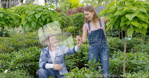 Image of Man and woman taking care of plants in the garden