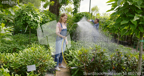 Image of Gardeners man and woman standing together and spraying water on flowers