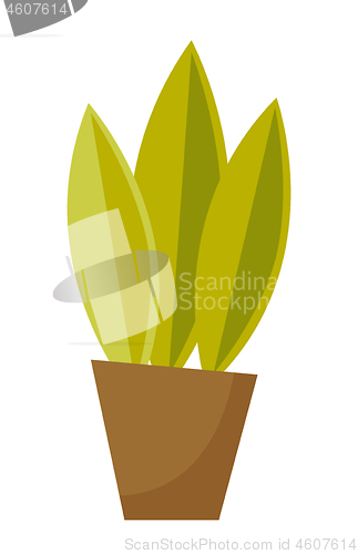 Image of Green plant in a pot vector cartoon illustration.