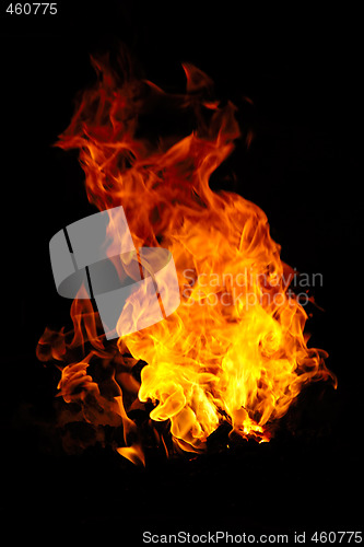 Image of Fire 