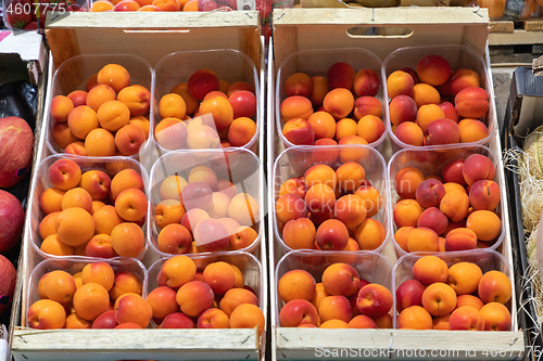 Image of Fresh Apricots in Trays