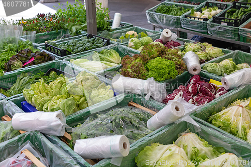 Image of Salads Market