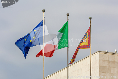 Image of Flags Venice