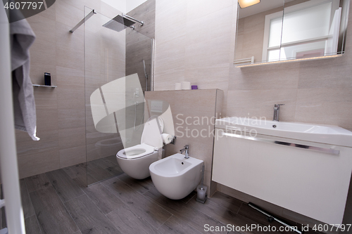 Image of luxury stylish bathroom interior