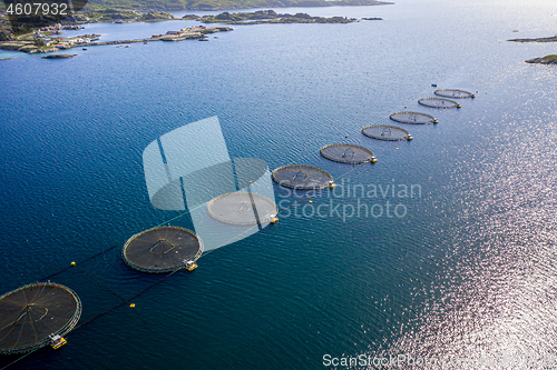 Image of Farm salmon fishing in Norway