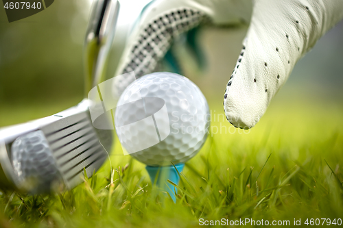 Image of Hand in glove placing golf ball on tee