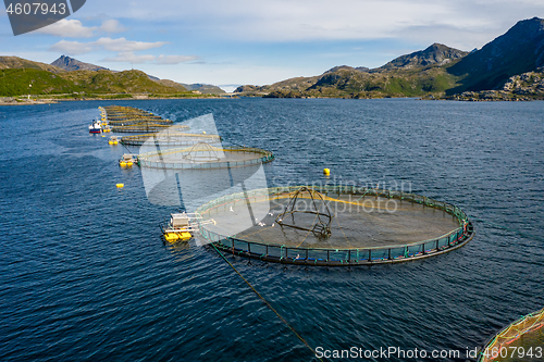 Image of Farm salmon fishing in Norway